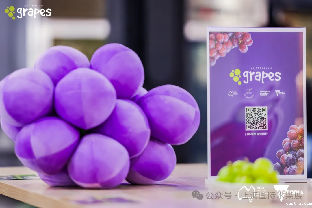 1718184155849658.png 640 (29)_结果.png