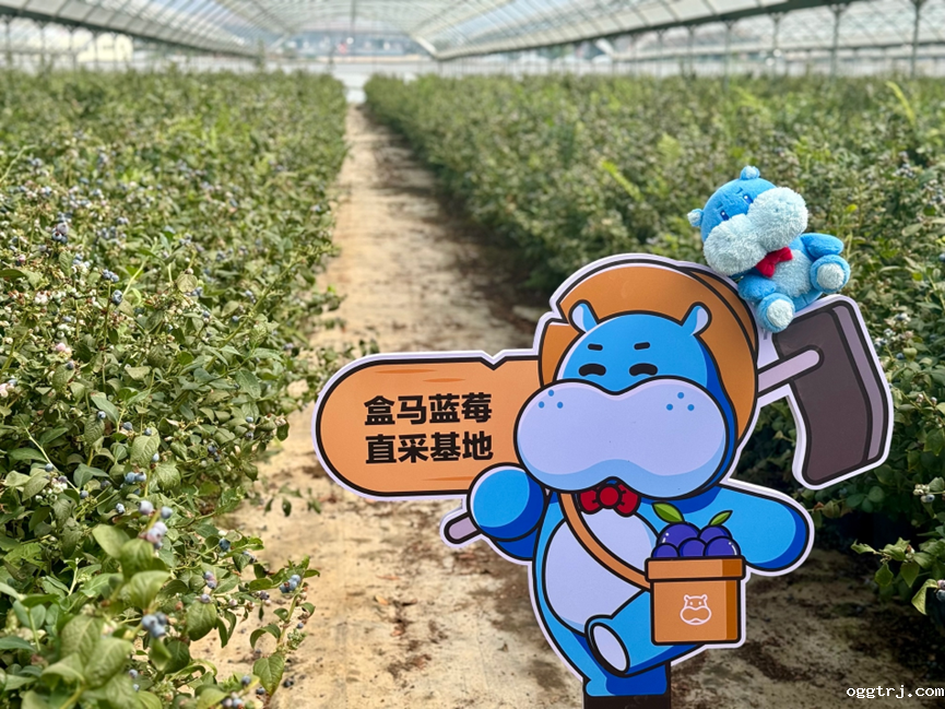 1725535565548966.png 3.png