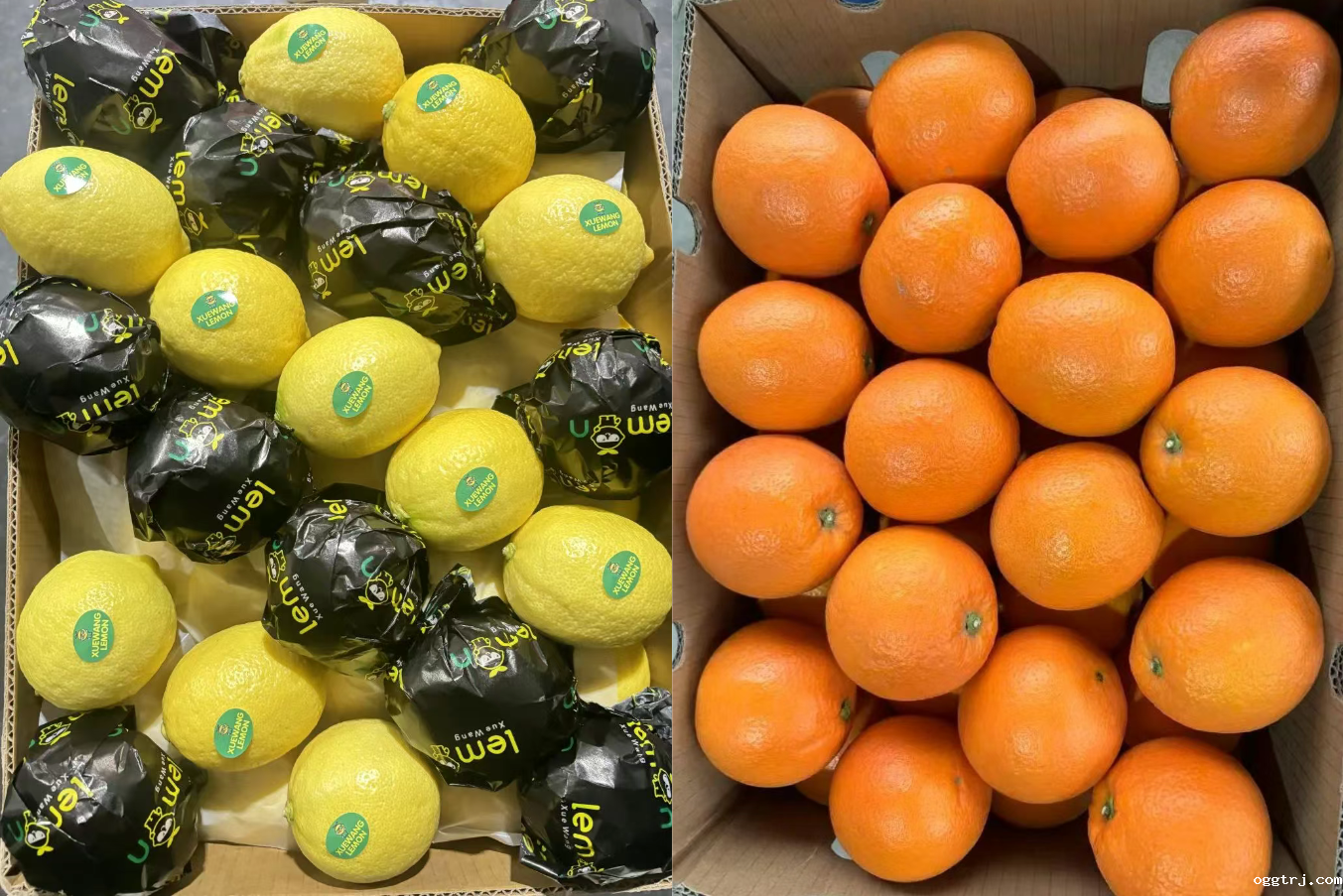 1748502625649690.png Snipaste_2025-05-29_14-58-24.png