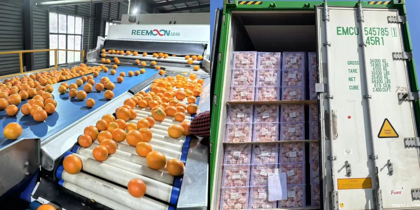 1748502652236459.png Snipaste_2025-05-29_14-42-20.png